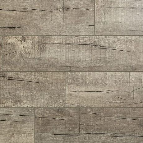 Royce Jersey J405 Дуб Тринити