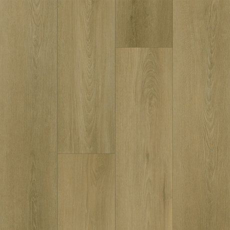 Fargo Bevel 
