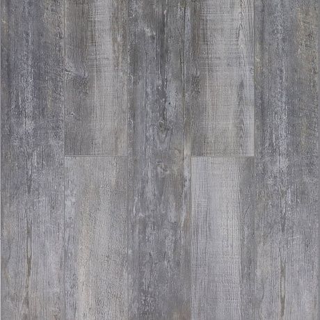 Timber Blackwood Wilhelm