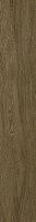 ColiseumGres Ducale 610010003504