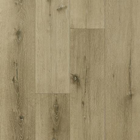 Fargo Bevel 