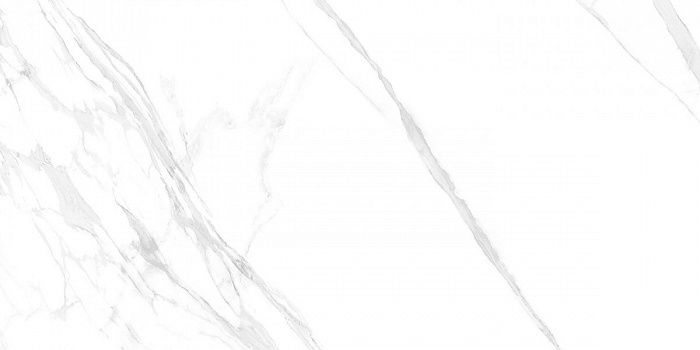 Плитка керамогранитная AZARIO OCTAVIANO SATVARIO 60х120 Glossy (F4110821125G)