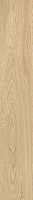 ColiseumGres Ducale 610010003502