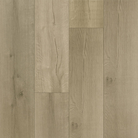 Fargo Bevel 