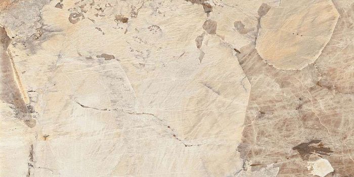 Керамогранит Onlygres Marble MOG304/PS_NC/60x120x9R/GW 60x120 см