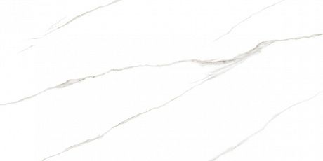 Azario  GBT750231d